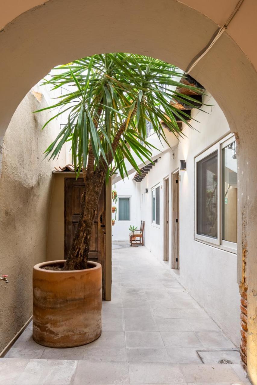 Casa Yuca Hotel Boutique Σαν Μιγκέλ ντε Αγιέντε Εξωτερικό φωτογραφία